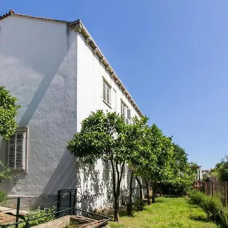 Blue & - Two-bedroom With Terrace And Garden View